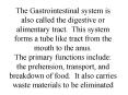 The Gastrointestinal system is also called the digestive or alimentary tract. This system forms a tube like tract from the mouth to the anus. The primary functions include: the prehension, transport, and breakdown of food. It also carries waste PowerPoint PPT Presentation