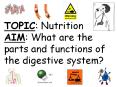 TOPIC: Nutrition AIM: What are the parts and functions of the digestive system? PowerPoint PPT Presentation