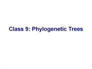 Class 9: Phylogenetic Trees