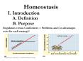 Homeostasis in Animals PowerPoint PPT Presentation