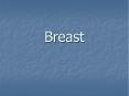 Breast PowerPoint PPT Presentation