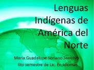 Lenguas Ind