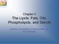 Chapter 5 The Lipids: Fats, Oils, Phospholipids, and Sterols PowerPoint PPT Presentation