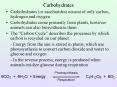 Carbohydrates PowerPoint PPT Presentation
