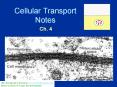 Cellular Transport Notes PowerPoint PPT Presentation