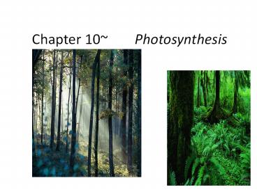 Chapter 10~Photosynthesis