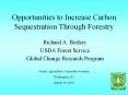 Opportunities to Increase Carbon Sequestration Through Forestry PowerPoint PPT Presentation