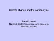 Climate change and the carbon cycle