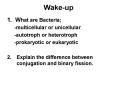 Wake-up PowerPoint PPT Presentation
