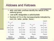 Aldoses and Ketoses