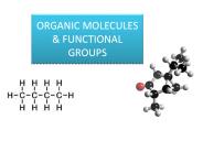 ORGANIC MOLECULES