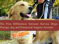 The Fine Differences between Service Dogs, Therapy dog and Emotional Support Animals PowerPoint PPT Presentation