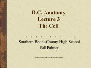 D.C. Anatomy Lecture 3 The Cell