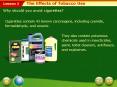 The Effects of Tobacco Use PowerPoint PPT Presentation