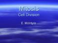 Mitosis Cell Division PowerPoint PPT Presentation