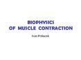 BIOPHYSICS  OF MUSCLE CONTRACTION PowerPoint PPT Presentation