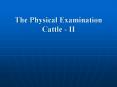 The Physical Examination Cattle - II PowerPoint PPT Presentation