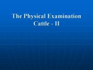 The Physical Examination Cattle - II