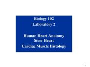 Biology 102