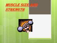 Muscle Size and Strength