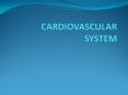CARDIOVASCULAR SYSTEM PowerPoint PPT Presentation