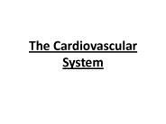 The Cardiovascular System