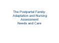 The Postpartal Family: Adaptation and Nursing Assessment Needs and Care PowerPoint PPT Presentation