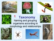 Taxonomy