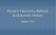 Modern Taxonomy Reflects Evolutionary History