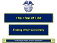 The Tree of Life PowerPoint PPT Presentation