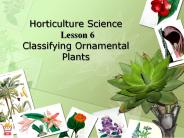 Horticulture Science Lesson 6 Classifying Ornamental Plants