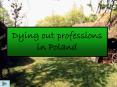 Dying out professions in Poland PowerPoint PPT Presentation