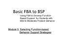 Basic FBA to BSP PowerPoint PPT Presentation