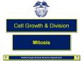 Cell Growth PowerPoint PPT Presentation