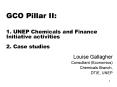 GCO Pillar II:  1. UNEP Chemicals and Finance Initiative activities  2. Case studies PowerPoint PPT Presentation