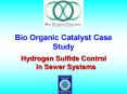 Bio Organic Catalyst Case Study PowerPoint PPT Presentation