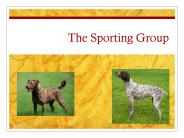The Sporting Group
