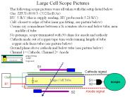 Large Cell Scope Pictures