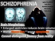 Schizophrenia Phay2004