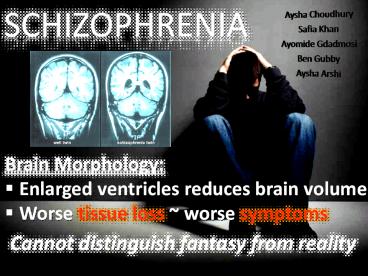 Schizophrenia phay2004 (1)