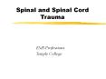 Spinal and Spinal Cord Trauma PowerPoint PPT Presentation