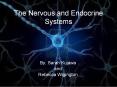The Nervous and Endocrine Systems PowerPoint PPT Presentation
