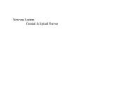 Nervous System