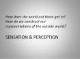 How does the world out there get in? How do we construct our representations of the outside world? SENSATION PowerPoint PPT Presentation