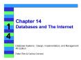 Chapter 14 Databases and The Internet PowerPoint PPT Presentation