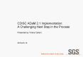 CDISC ADaM 2.1 Implementation: A Challenging Next Step in the Process PowerPoint PPT Presentation