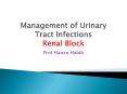Management of Urinary Tract Infections Renal Block PowerPoint PPT Presentation