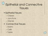 Epithelial and Connective Tissues