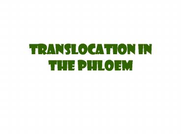 Translocation in the Phloem