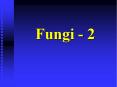 Fungi - 2 PowerPoint PPT Presentation